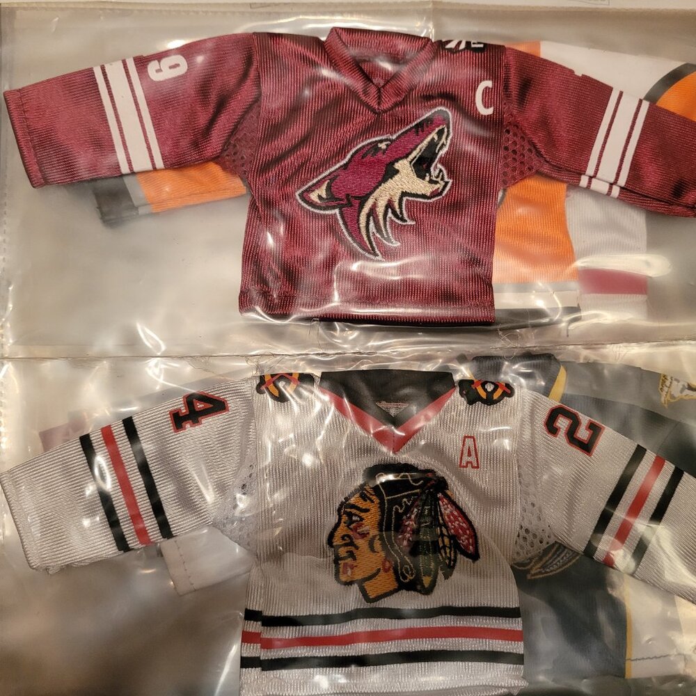 Lot of 24 2006-2008 Upper Deck NHL Mini Jersey's 4" X 9" NESH STAAL VANEK & more